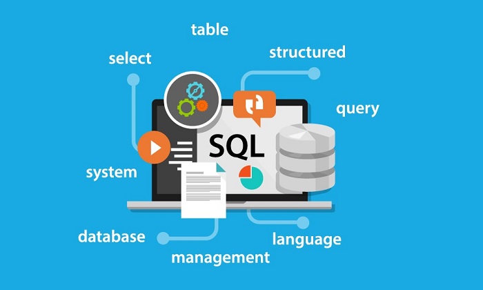Prečo sa učiť jazyk SQL a kedy je najbližší termín kurzu 